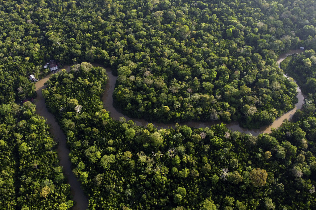 Tue. 9:17 a.m.: Eight Amazon rainforest countries open summit in Belem, Brazil | News, Sports, Jobs - Vimarsana News